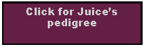 Text Box: Click for Juice’s pedigree