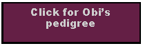 Text Box: Click for Obi’s pedigree
