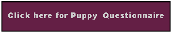 Text Box: Click here for Puppy  Questionnaire